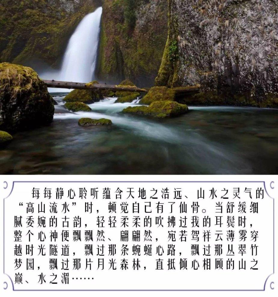 猪被兽医医死了,怎么办?索赔吗?-机智问答网页